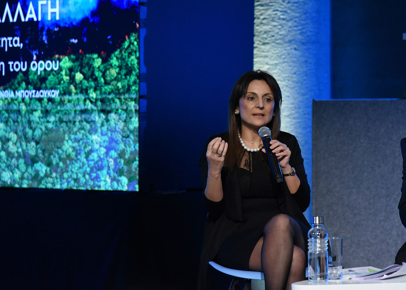 A woman speaking at the SNF Dialogues event