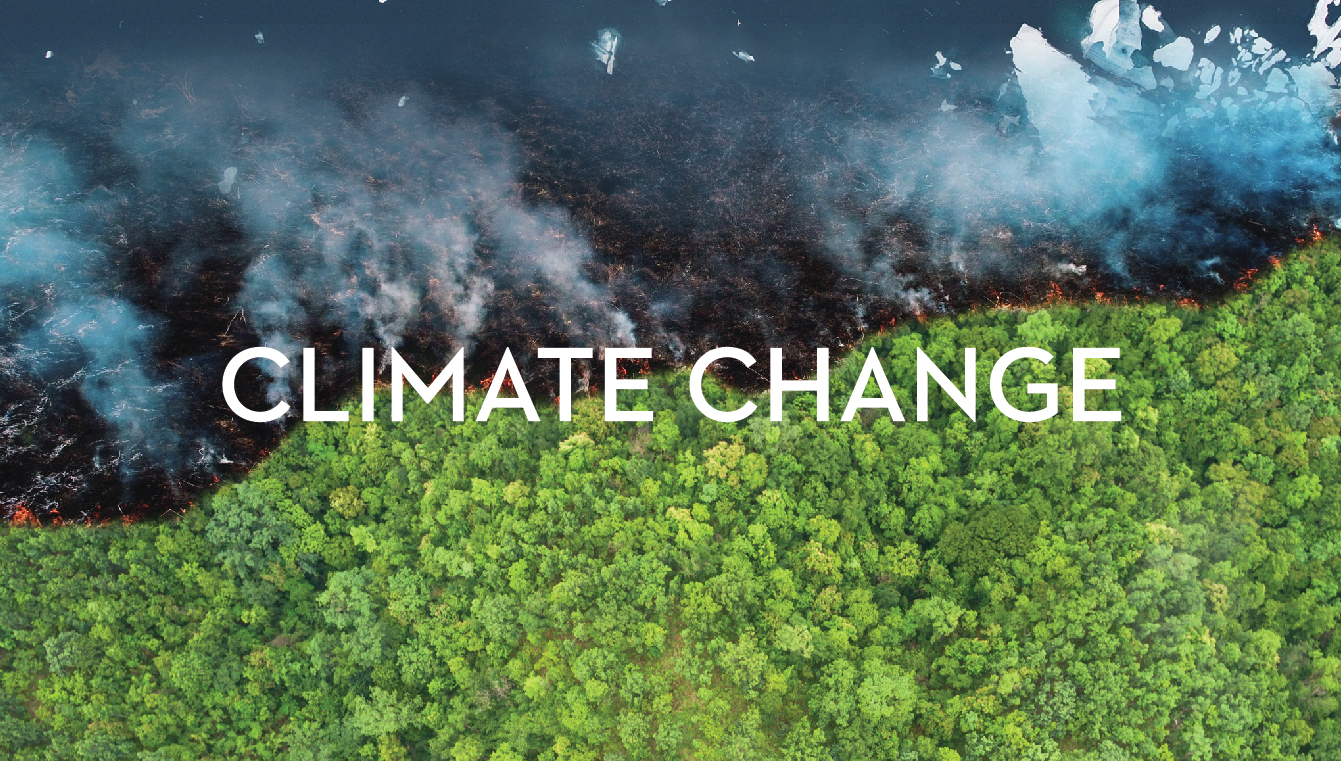 Banner showing half of a forest on fire 