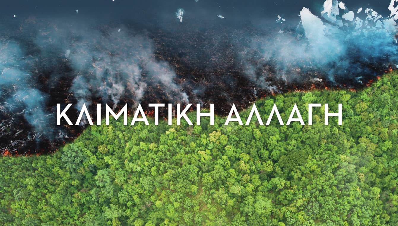 Εικαστικό που δείχνει το μισός δάσος να καίγεται από πυρκαγιά